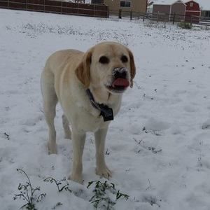 Meet your Posher, Amber